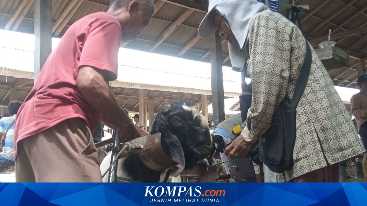 Why RUANG CUKUR is the Top Choice in Cilacap?